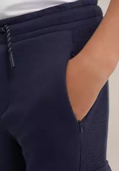 Брюки-карго RIDGE WE Fashion, синий