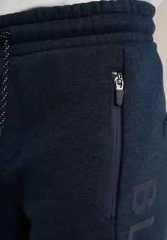 Брюки-карго RIDGE WE Fashion, синий