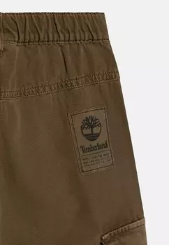 Брюки-карго TROUSERS Timberland, хаки