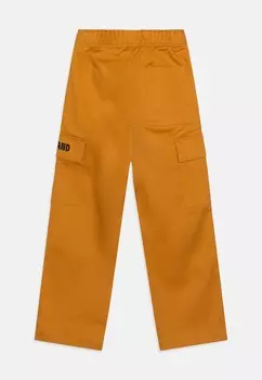 Брюки-карго TROUSERS Timberland, охра