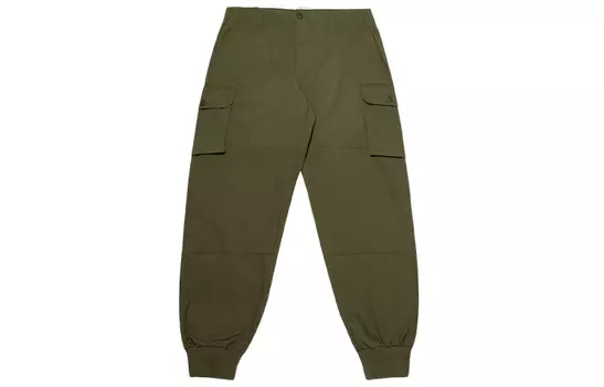 Брюки-карго унисекс Dickies, цвет Army Green