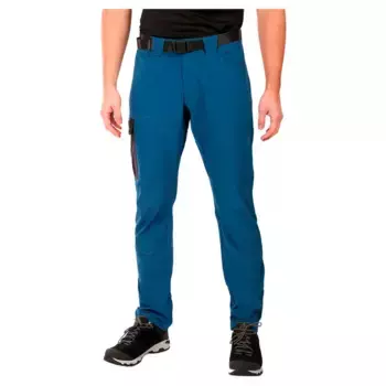 Брюки Kilpi Ligne, синий