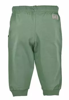 Брюки LAUF DIN Alpenglck, зеленый