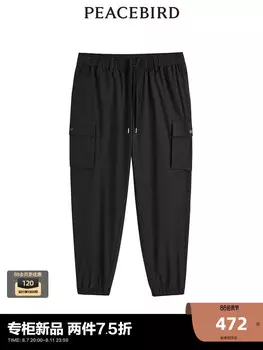 Брюки летние Peacebird мужские, черный