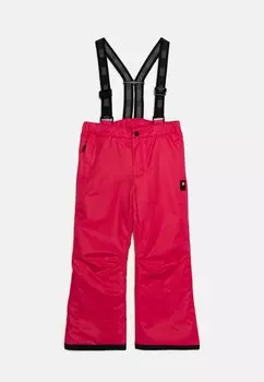 Брюки Lwpayton Ski Pants Unisex LEGO, ред