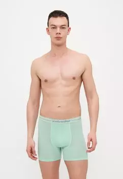 Брюки MEN ANATOMICA icebreaker, зеленый