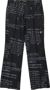 Брюки MISBHV Basquiat Edition Discography Flared Trousers 'Black', черный