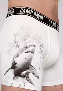 Брюки MIT SHARK Camp David, белый