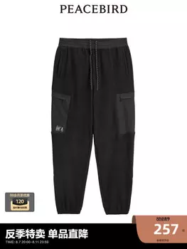 Брюки мужские Peacebird флисовые, черный