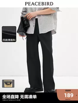 Брюки мужские Peacebird прямые, черный