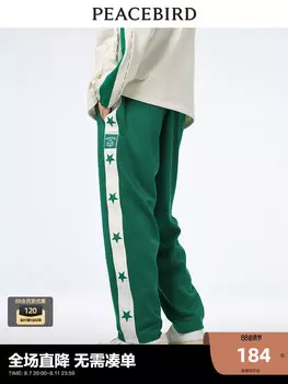 Брюки мужские Peacebird прямые, зеленый