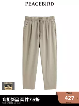 Брюки мужские Peacebird со складками, хаки