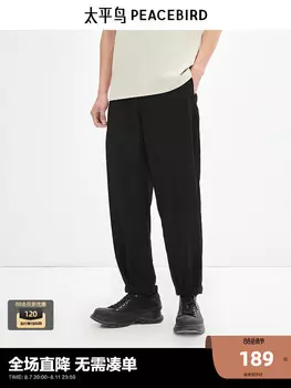 Брюки мужские Peacebird спортивные, черный