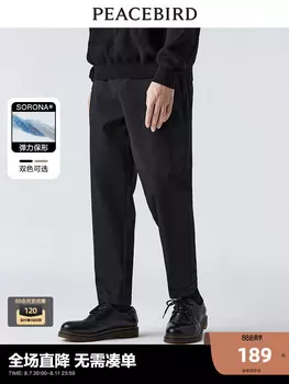 Брюки мужские Peacebird свободные, черный