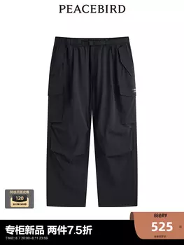 Брюки мужские Peacebird, темно-синий