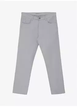 Брюки мужские серые 4A0124200093 Altnyldz Classics, серый