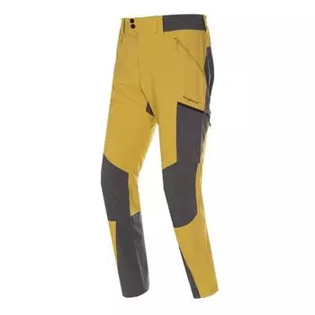 Брюки мужские Trangoworld Malmo th коричневые/серые