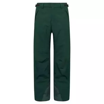 Брюки Oakley Best Cedar RC Insulated, зеленый
