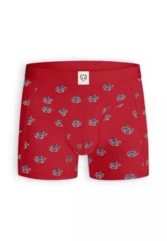 Брюки OCTOPUS A-dam, красный