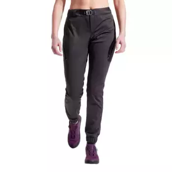 Брюки Pearl Izumi Summit AmFIB Lite, серый