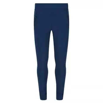 Брюки Pentre для мальчиков и девочек из джинсовой ткани Moonlight REGATTA, цвет azul