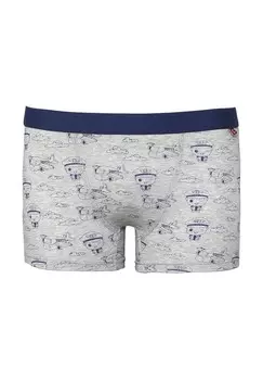 Брюки PILOT CARBURANT, серый