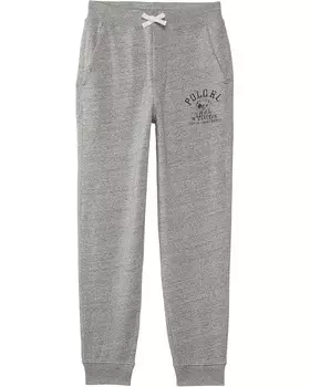 Брюки Polo Ralph Lauren Kids Fleece Graphic Jogger Pants, цвет Salt & Pepper Heather