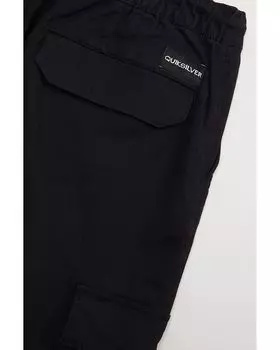Брюки Quiksilver Back To Cargo Pants, черный
