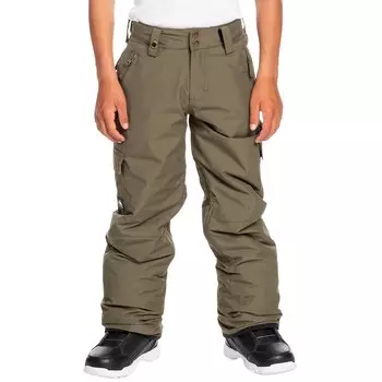 Брюки Quiksilver Porter для мальчиков, grape leaf