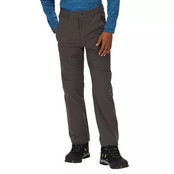 Брюки Regatta Highton Waterproof, серый