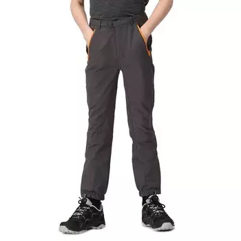 Брюки Regatta Tech Mountain, серый