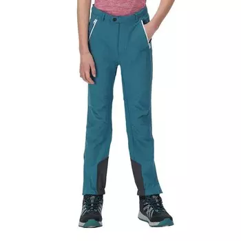 Брюки Regatta Tech Mountain, зеленый