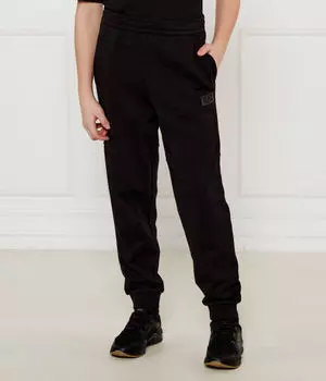Брюки Regular fit Ea7, черный