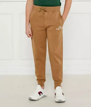 Брюки Regular fit Polo Ralph Lauren, желтый