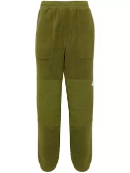 Брюки с вышитым логотипом The North Face, зеленый