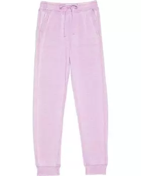 Брюки Splendid Littles Burnout Joggers, цвет Winter Iris