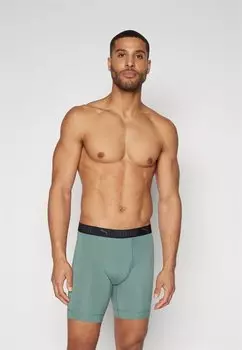 Брюки SPORT LONG BOXER 2 PACK Puma, черный