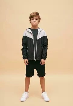 Брюки спортивные BASIC Urban Classics, цвет black