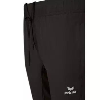 Брюки спортивные Erima, серый