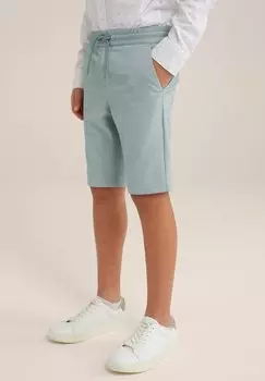 Брюки спортивные Gemleerde WE Fashion, синие