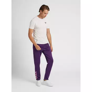 Брюки спортивные Hummel, цвет lupinenblau/rot/rot
