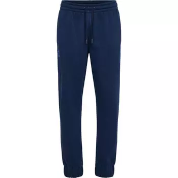Брюки спортивные Hummel, цвет pfauenblau/blau/blau