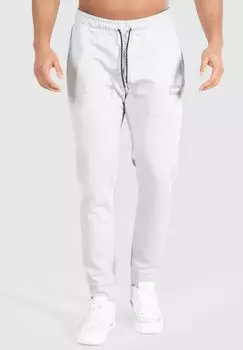 Брюки спортивные Pro Smilodox, цвет grau melange