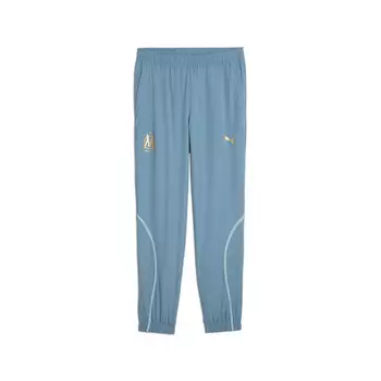 Брюки спортивные Puma, цвет trkisblau/blau