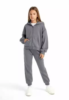 Брюки спортивные STANDARD MINOTI, цвет grey