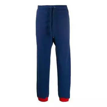 Брюки star sweatpants 'blue' Gucci, синий