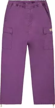 Брюки Stussy Ripstop Cargo Beach Pant 'Purple', фиолетовый