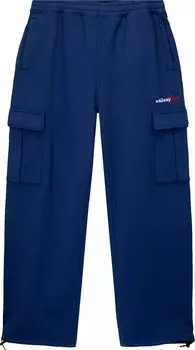 Брюки Stussy Sport Cargo Fleece Pant 'Blue', синий