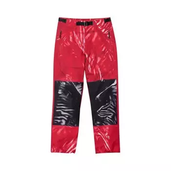 Брюки Supreme x The North Face Printed Mountain Pant, красный