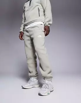 Брюки The North Face